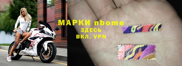 сатива Алексеевка