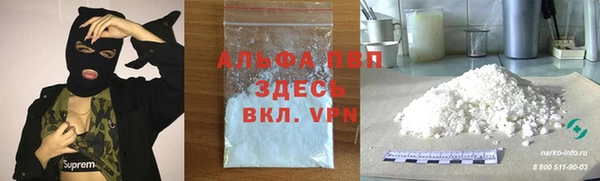 гашик Арсеньев