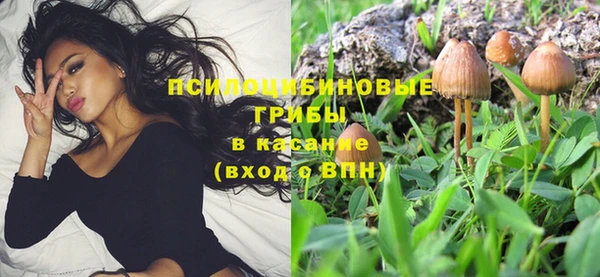 стафф Алексин
